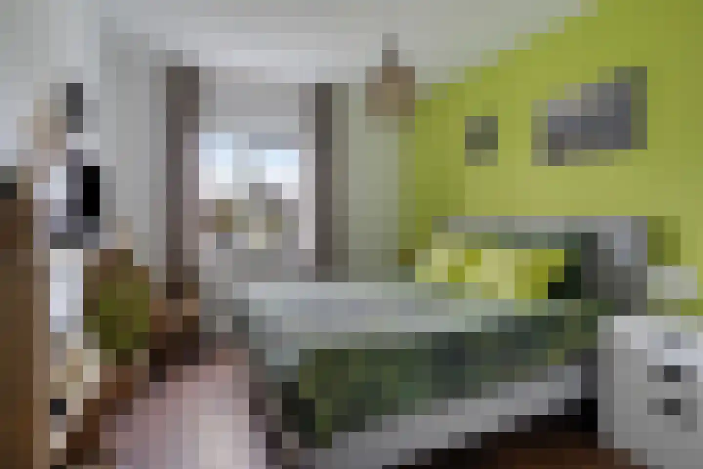 Broeder Silvesterlaan 33 Nooitgedacht thumbnail 20