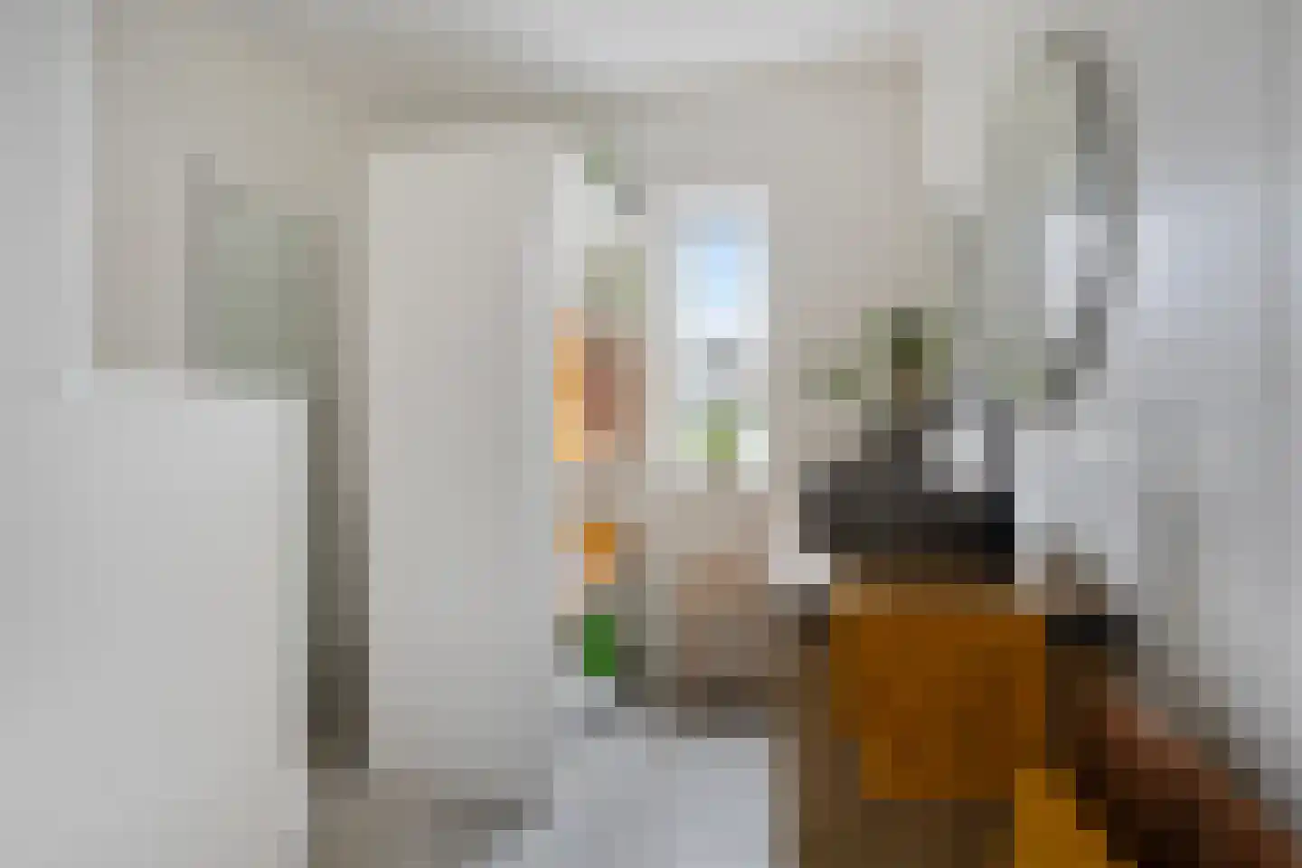 Broeder Silvesterlaan 33 Nooitgedacht thumbnail 23