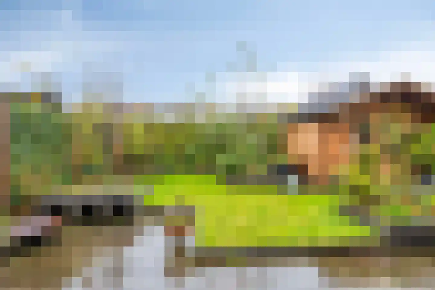 Broeder Silvesterlaan 33 Nooitgedacht thumbnail 36