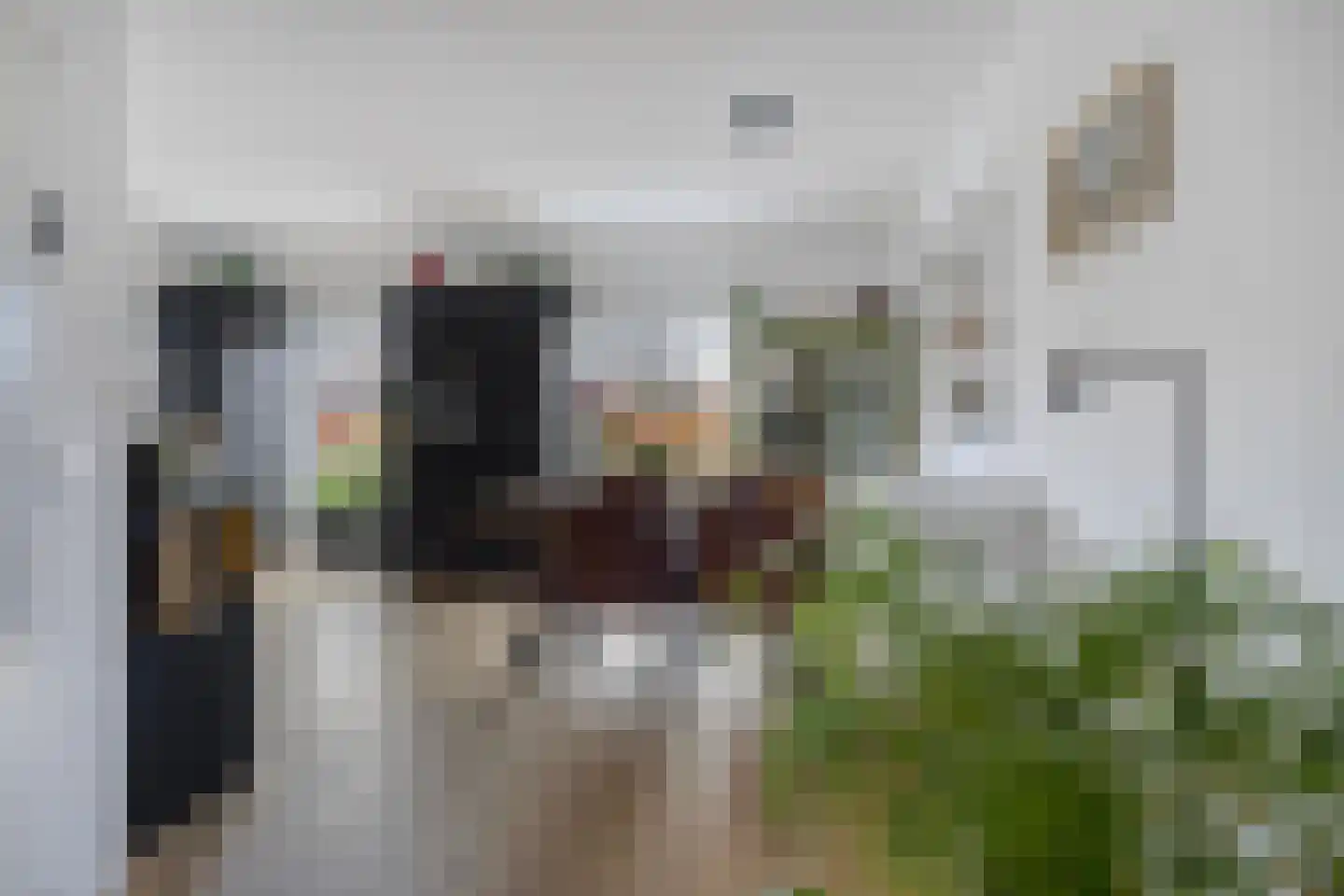 Broeder Silvesterlaan 33 Nooitgedacht thumbnail 7