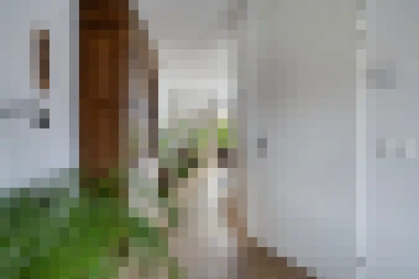 Broeder Silvesterlaan 33 Nooitgedacht thumbnail 8