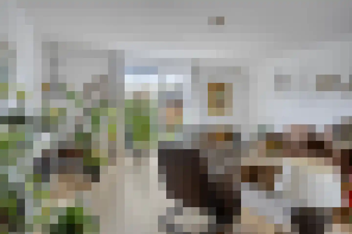Broeder Silvesterlaan 33 Nooitgedacht thumbnail 9