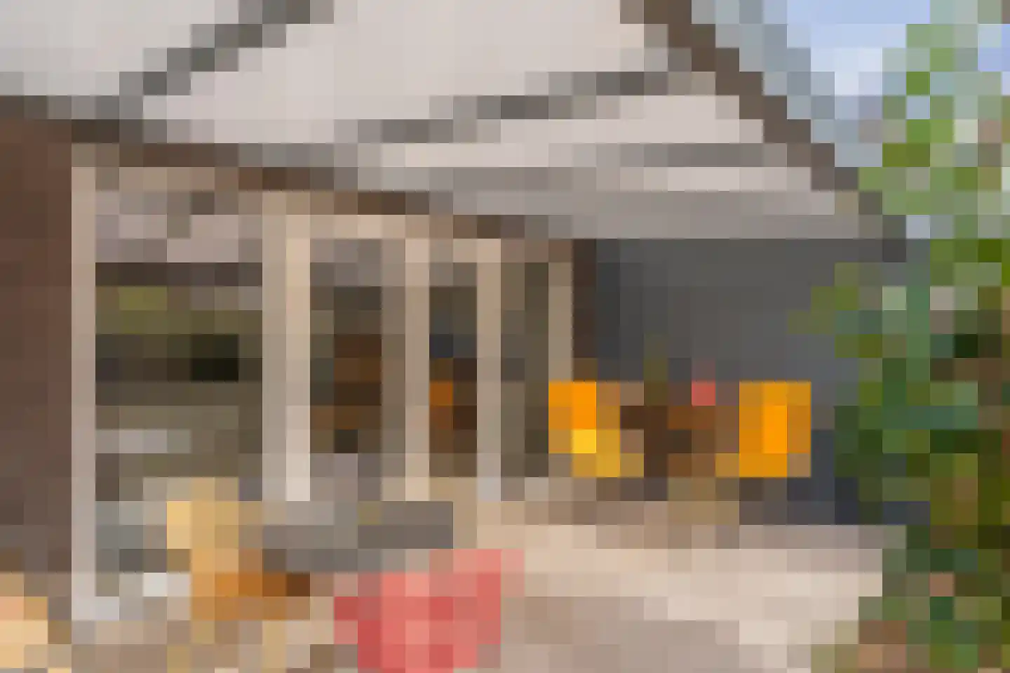 Broeder Silvesterlaan 37 Nooitgedacht thumbnail 48