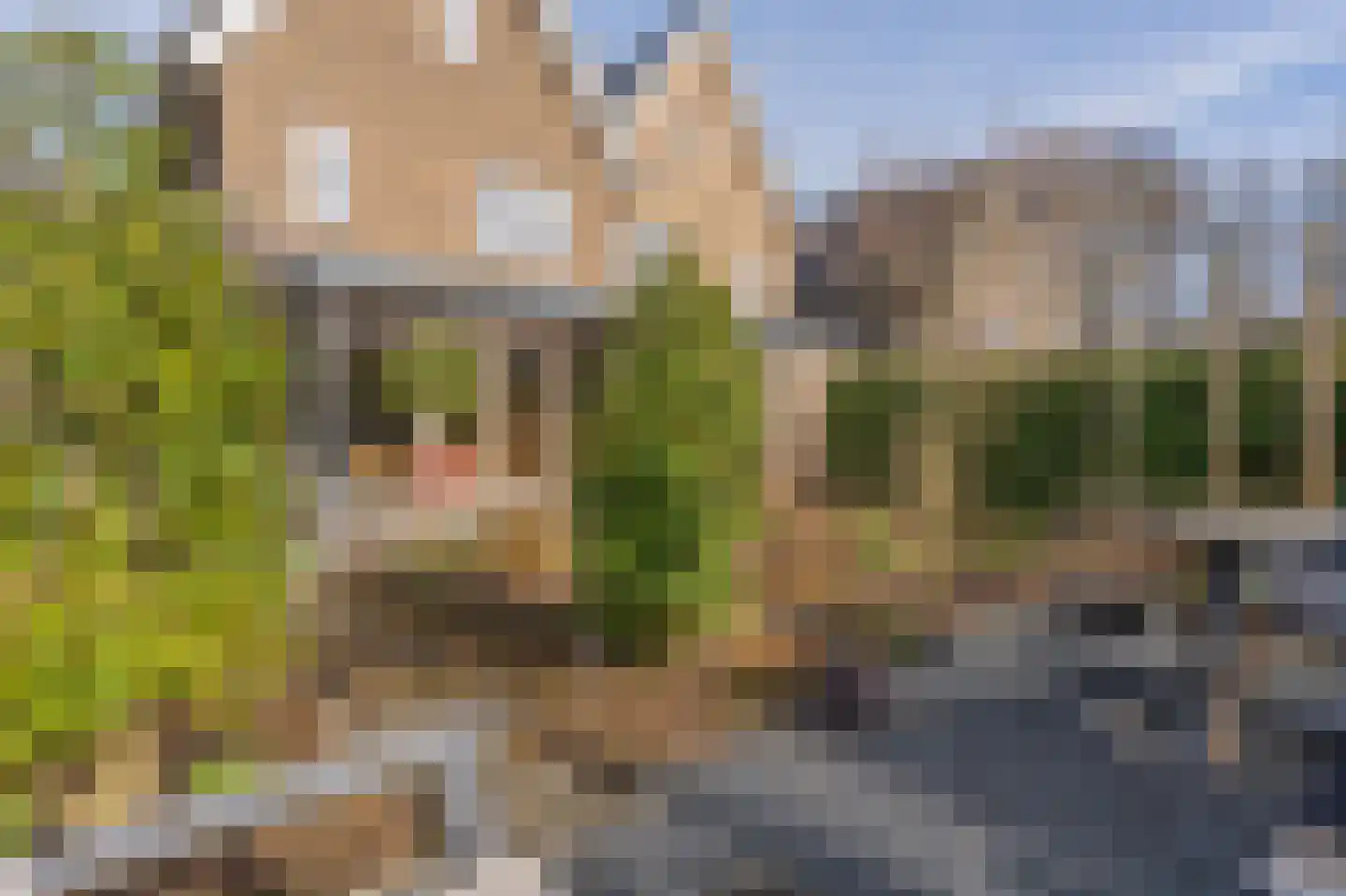 Broeder Silvesterlaan 37 Nooitgedacht thumbnail 60