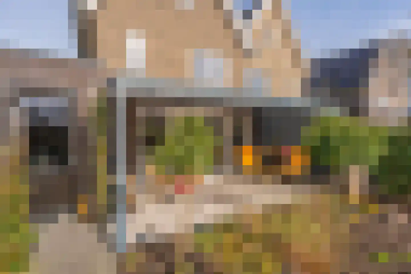 Broeder Silvesterlaan 37 Nooitgedacht thumbnail 62