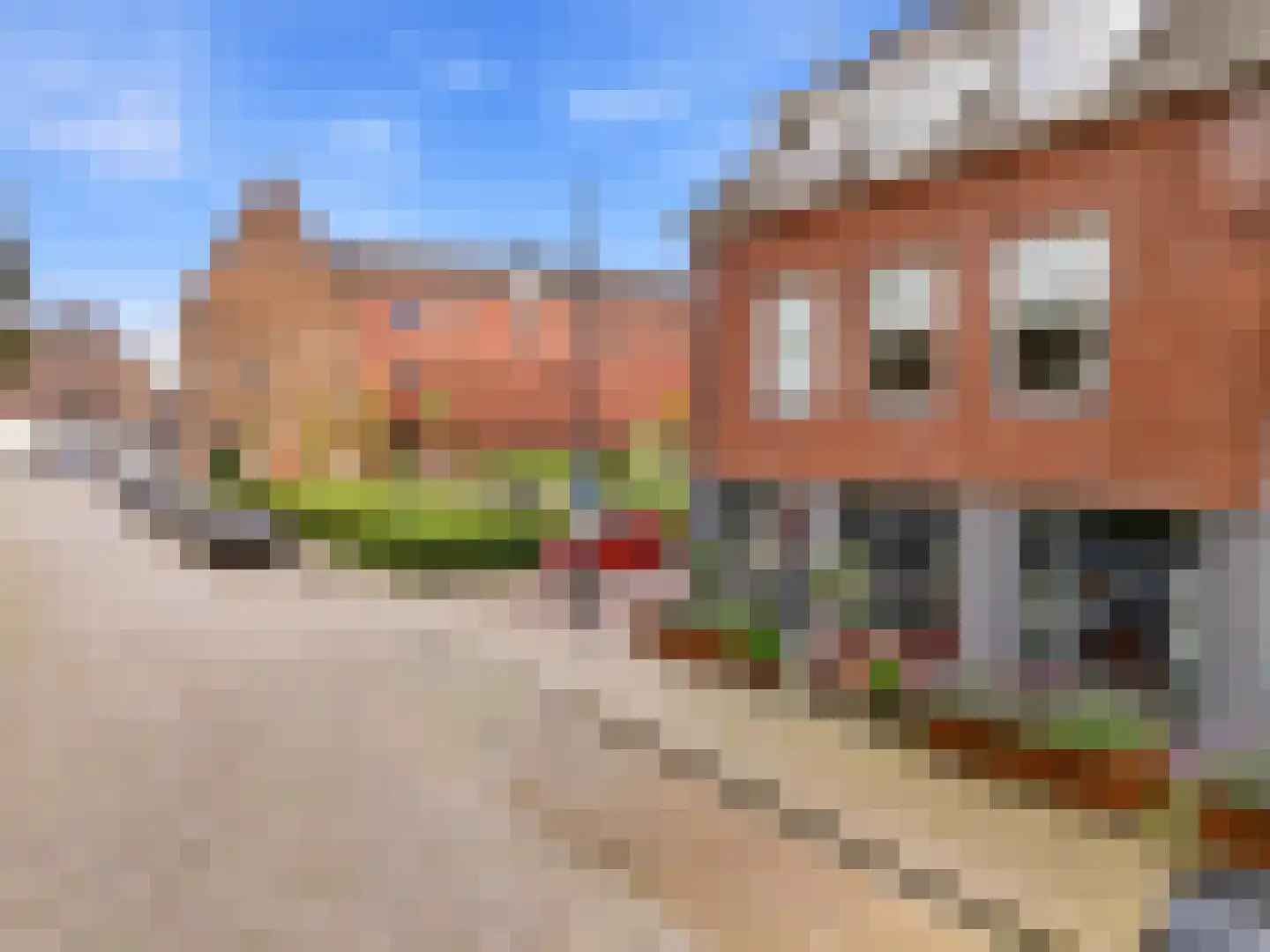 Broederenkerkplein 1 Zutphen
