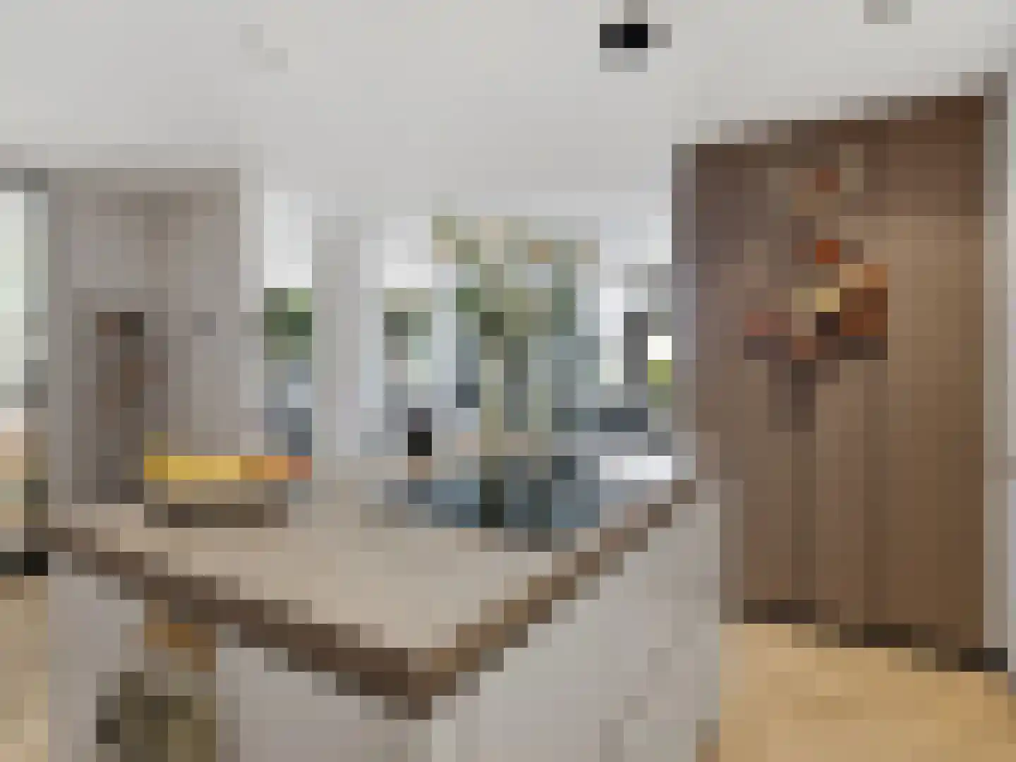Broederenkerkplein 1 Zutphen thumbnail 14