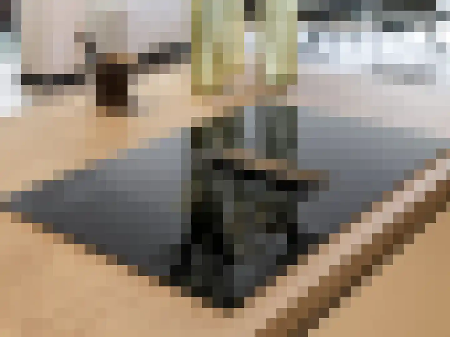 Broederenkerkplein 1 Zutphen thumbnail 19