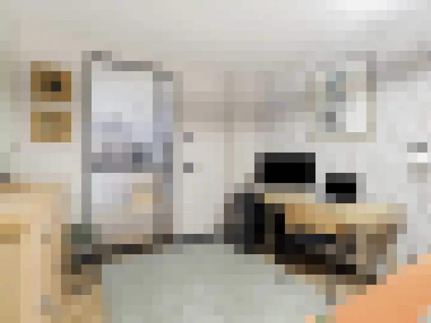 Broederenkerkplein 1 Zutphen thumbnail 22