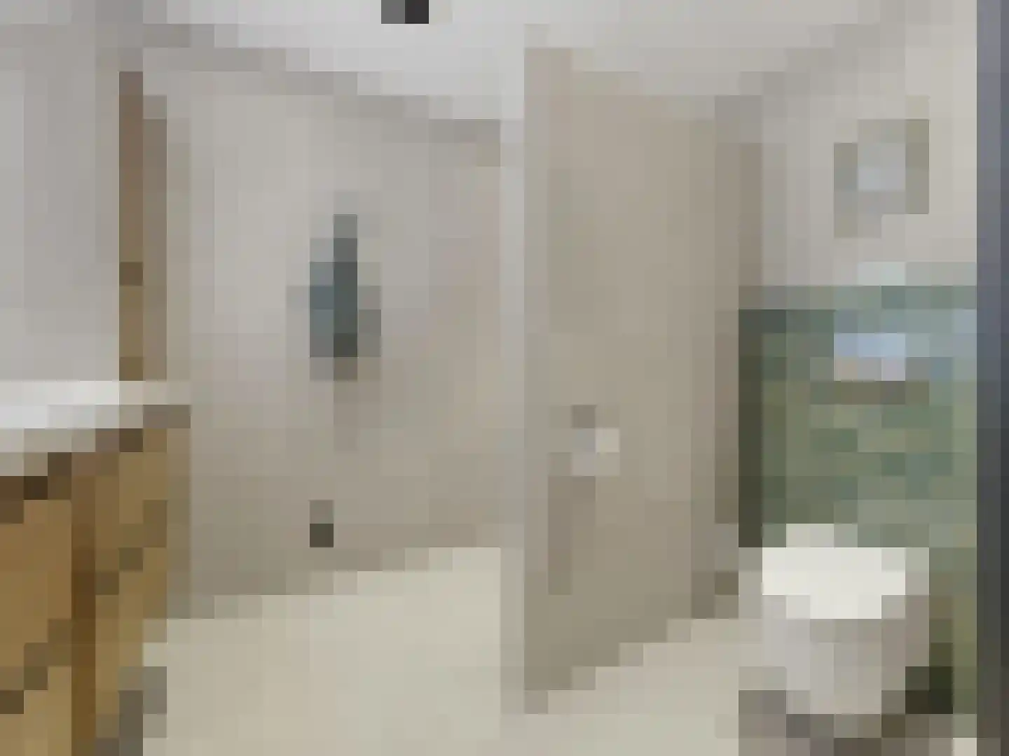 Broederenkerkplein 1 Zutphen thumbnail 23