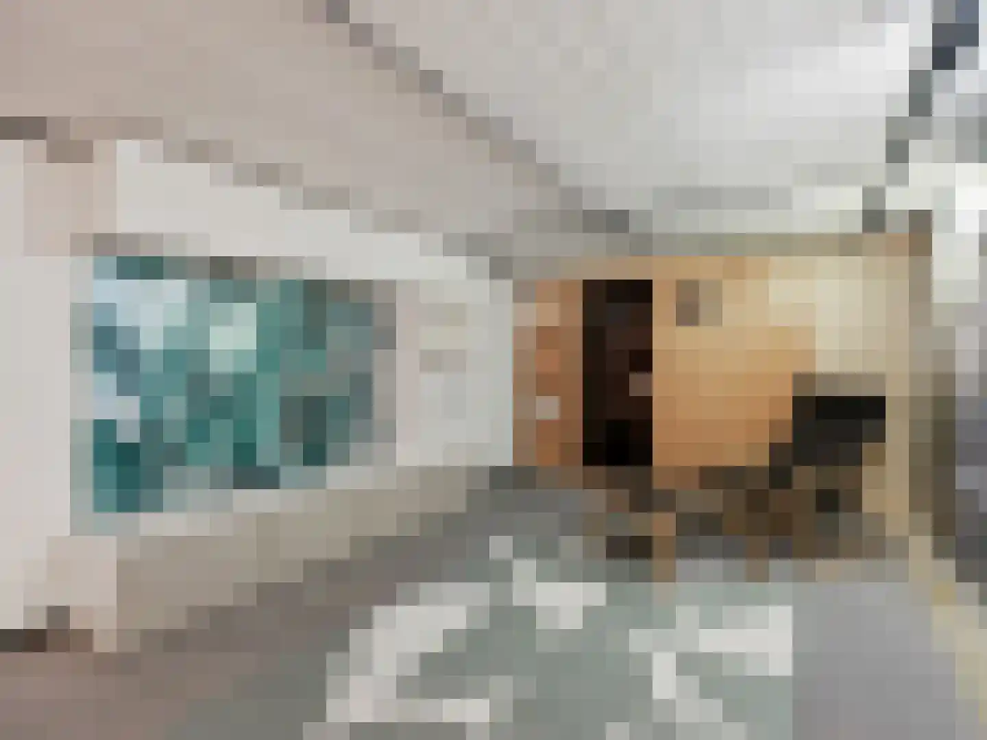 Broederenkerkplein 1 Zutphen thumbnail 35