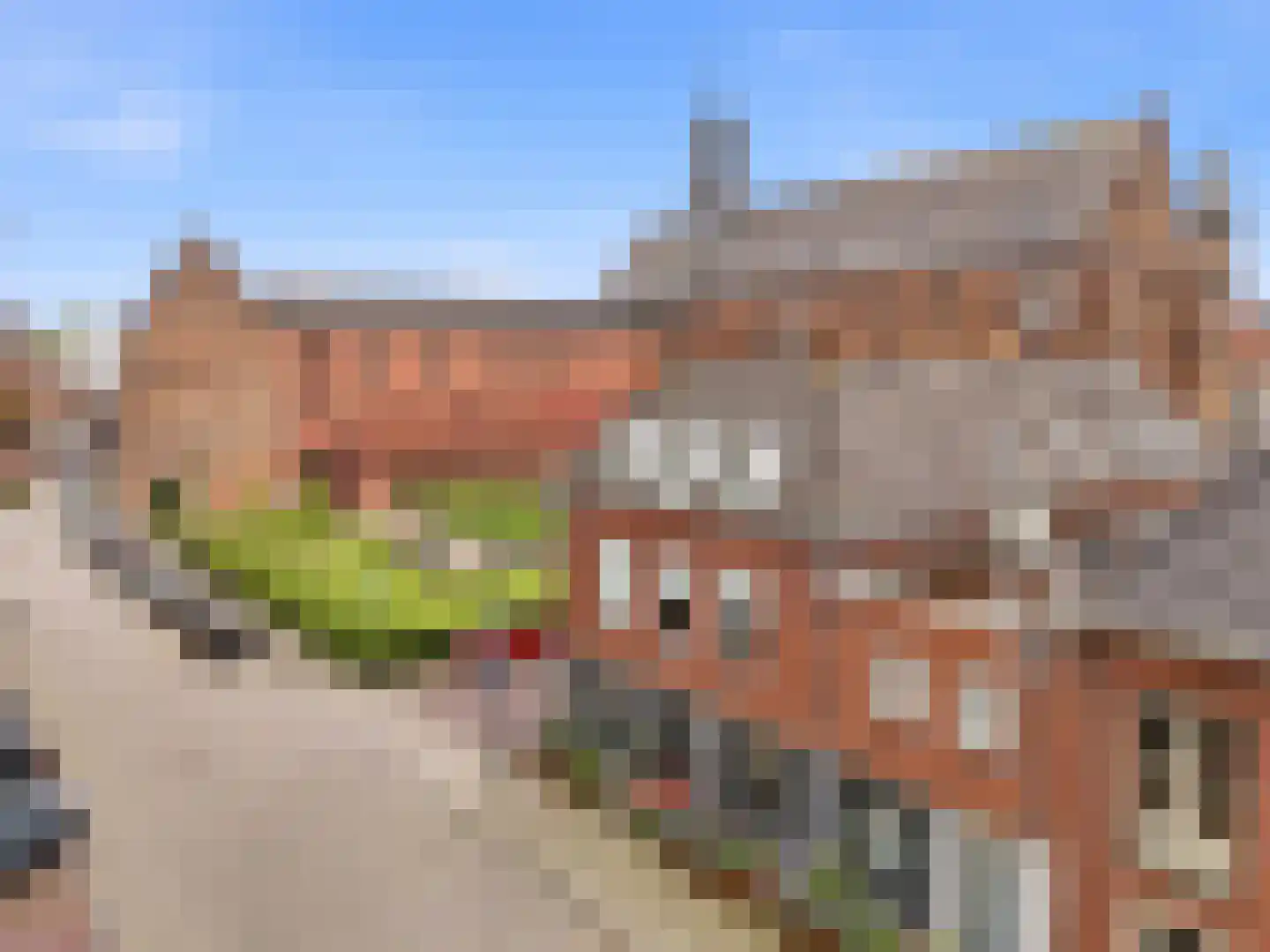 Broederenkerkplein 1 Zutphen thumbnail 47