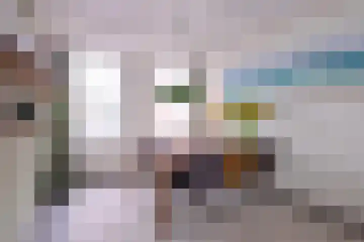 Broederenkerkplein 19 Zutphen thumbnail 19