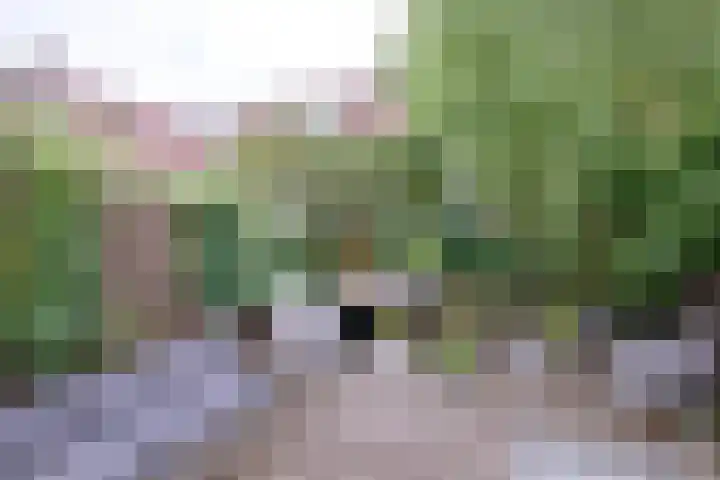 Broederenkerkplein 19 Zutphen thumbnail 25