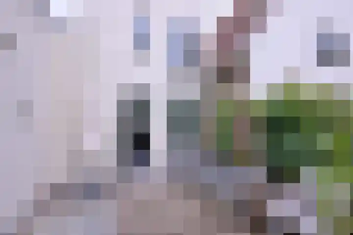 Broederenkerkplein 19 Zutphen thumbnail 29