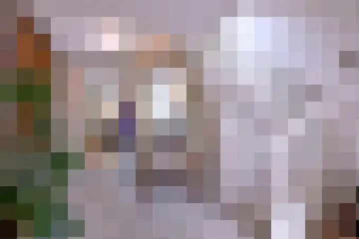 Broederenkerkplein 19 Zutphen thumbnail 5