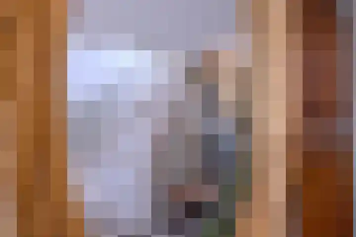 Broederenkerkplein 19 Zutphen thumbnail 6
