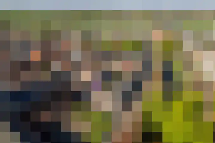 Broederenkerkplein 5 in Zutphen