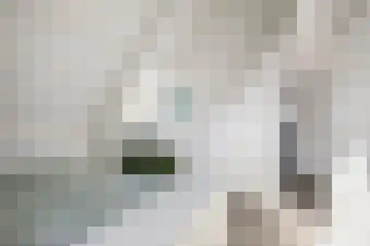 Broederenkerkplein 5 Zutphen thumbnail 14