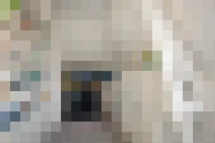 Broederenkerkplein 5 Zutphen thumbnail 18
