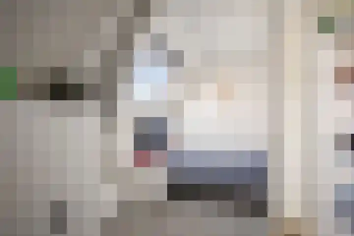 Broederenkerkplein 5 Zutphen thumbnail 19