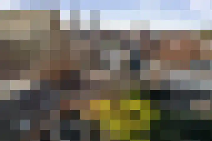 Broederenkerkplein 5 Zutphen thumbnail 23