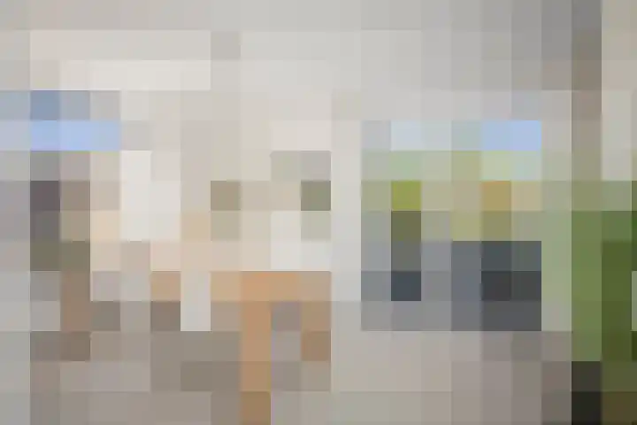 Broederenkerkplein 5 Zutphen thumbnail 6