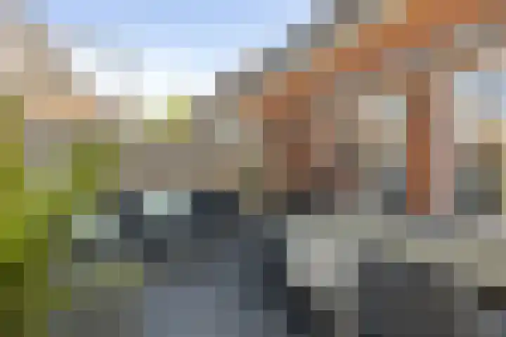 Broederenkerkplein 5 Zutphen thumbnail 8