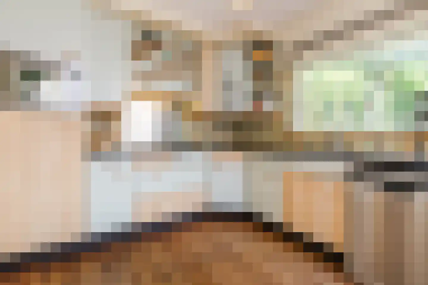 Broederhof 17 Veldhoven thumbnail 24