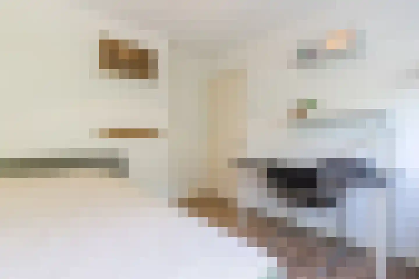 Broederhof 17 Veldhoven thumbnail 36