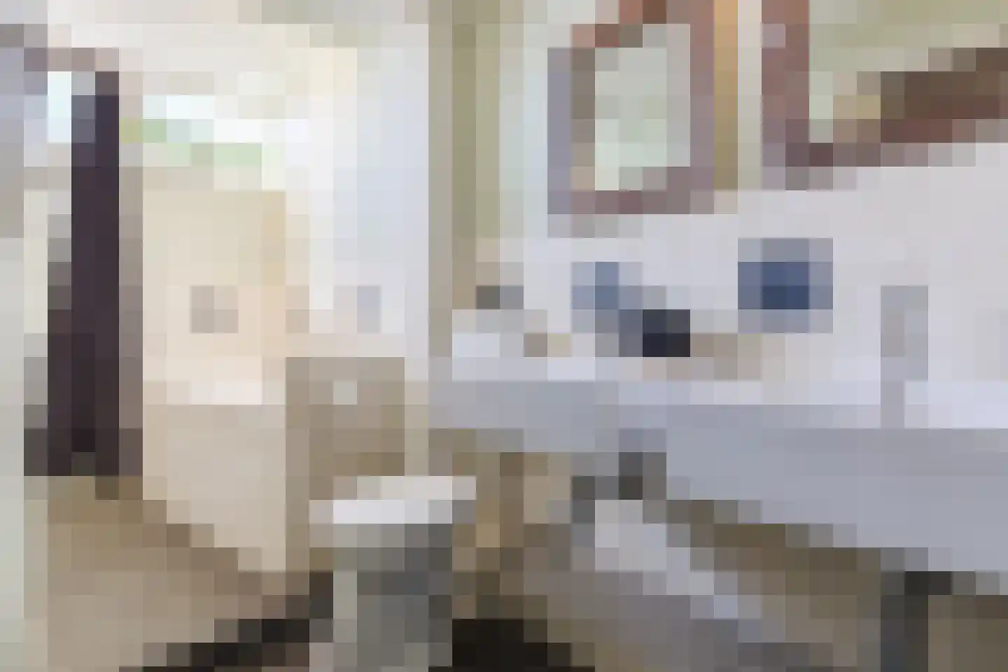 Broederhof 17 Veldhoven thumbnail 41