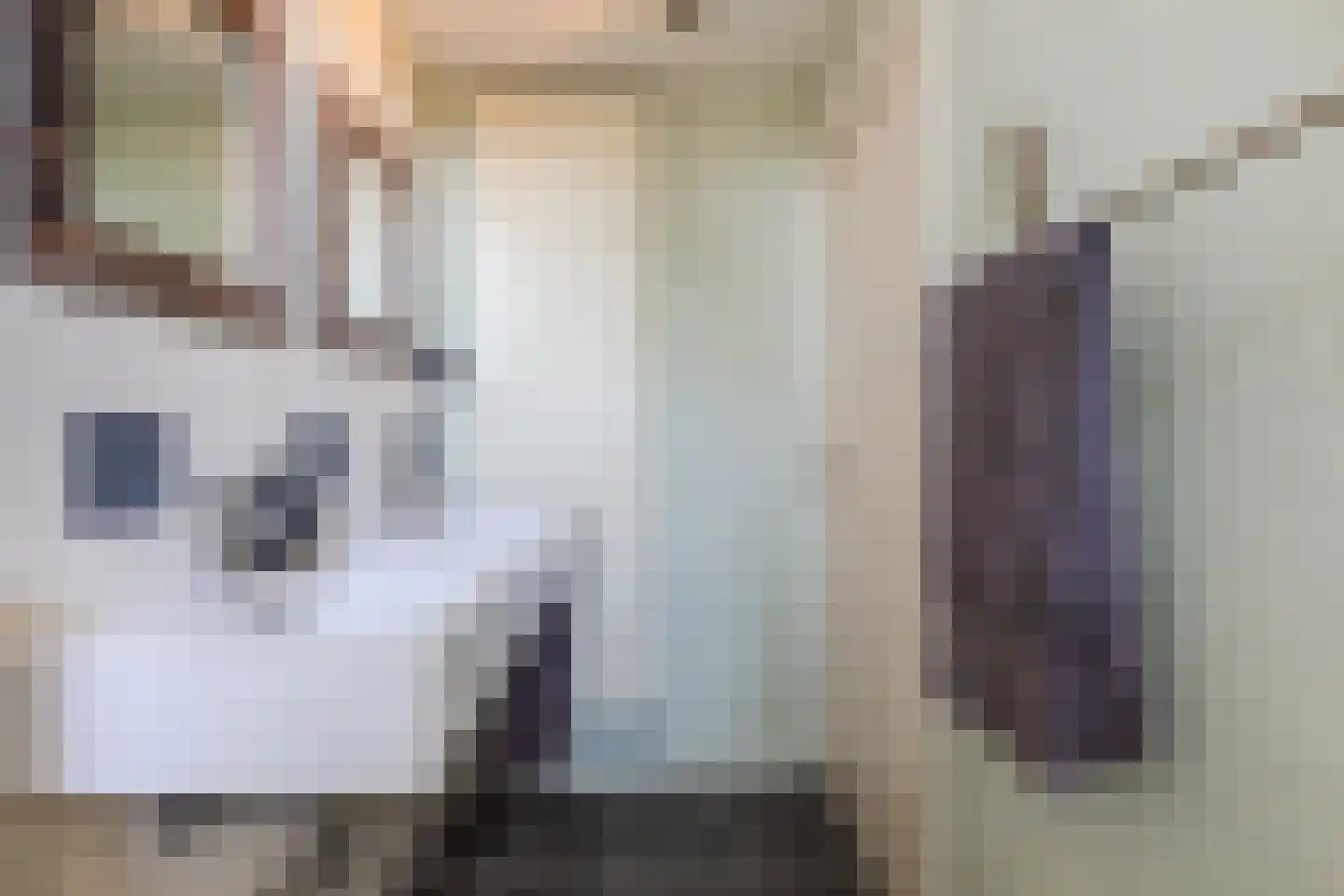 Broederhof 17 Veldhoven thumbnail 44