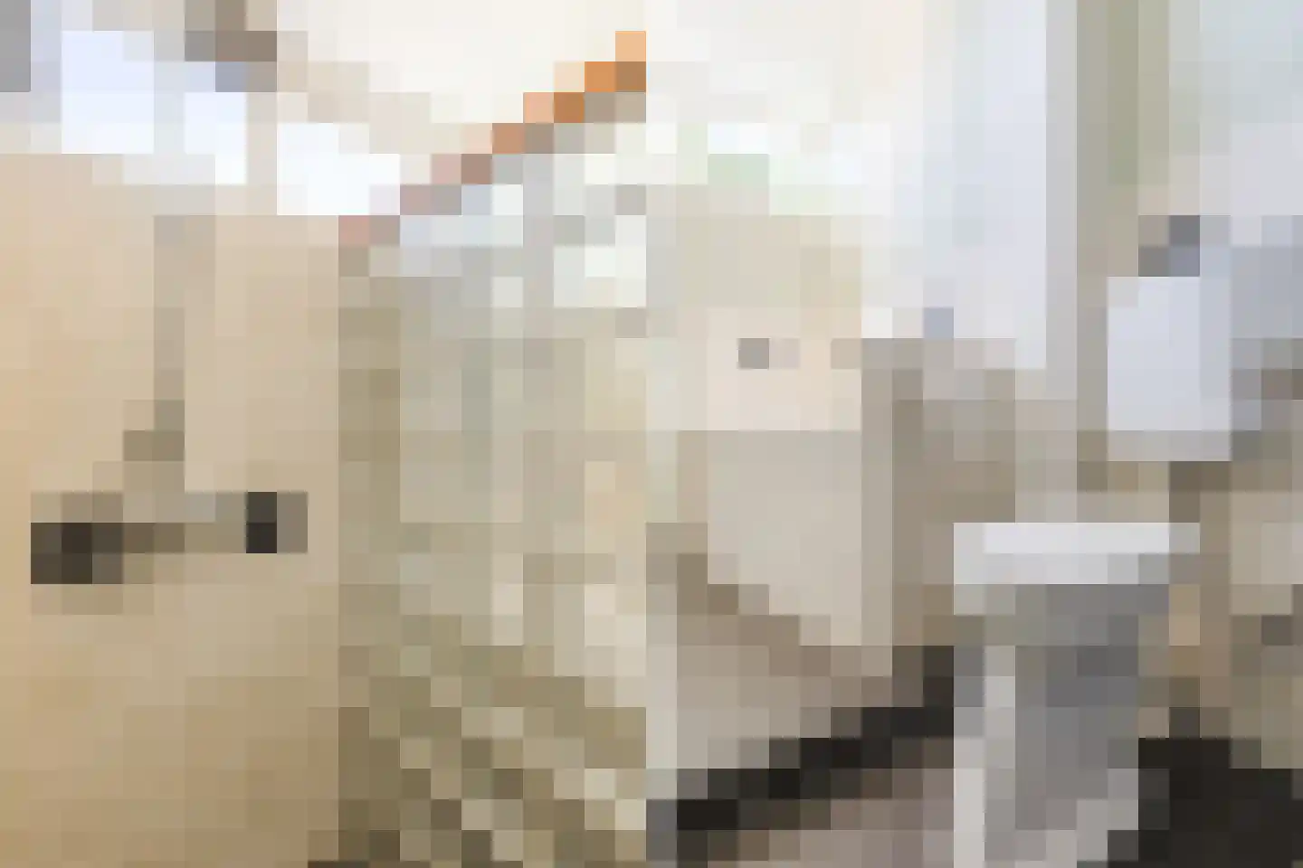 Broederhof 17 Veldhoven thumbnail 46