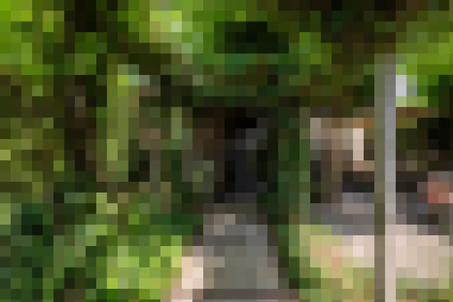 Broederhof 17 Veldhoven thumbnail 48