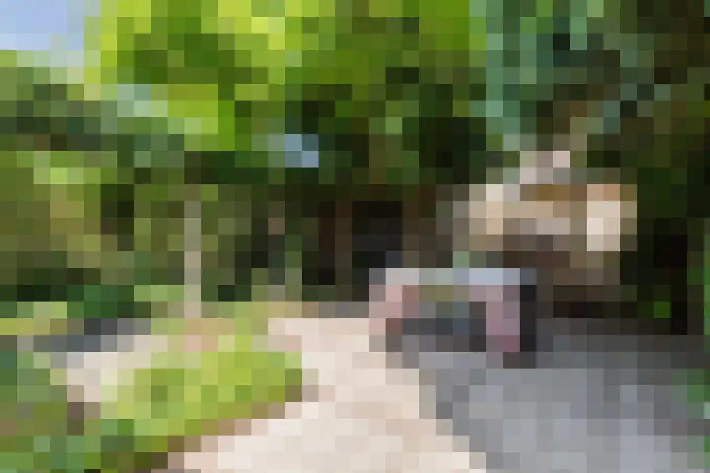 Broederhof 17 Veldhoven thumbnail 50