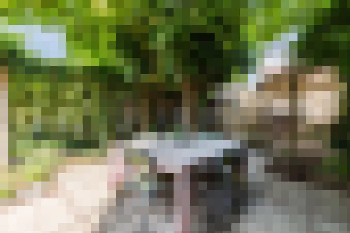 Broederhof 17 Veldhoven thumbnail 51