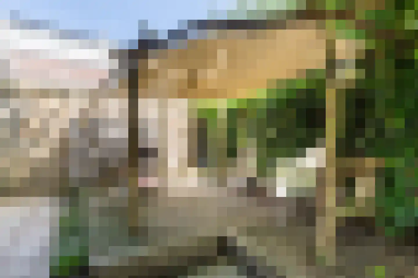 Broederhof 17 Veldhoven thumbnail 52
