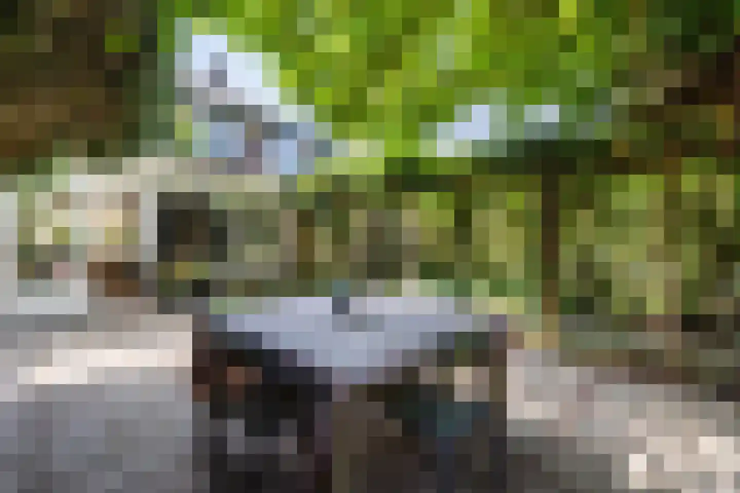 Broederhof 17 Veldhoven thumbnail 53