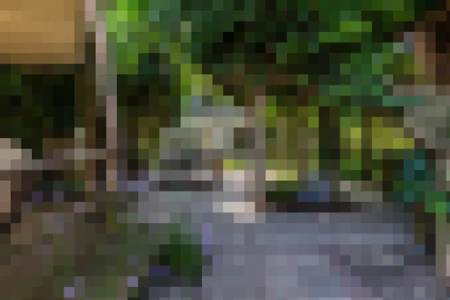 Broederhof 17 Veldhoven thumbnail 55