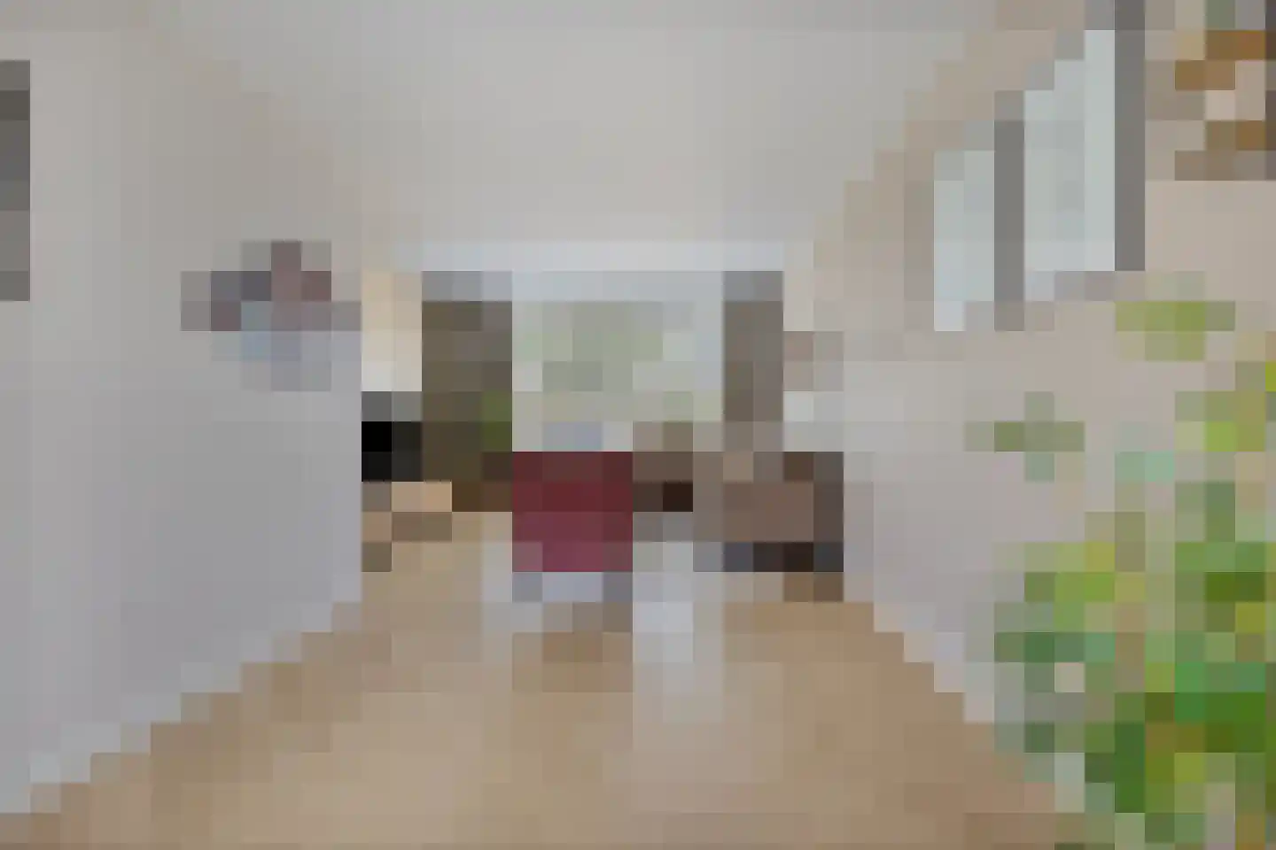 Broederhof 2 Veldhoven thumbnail 14
