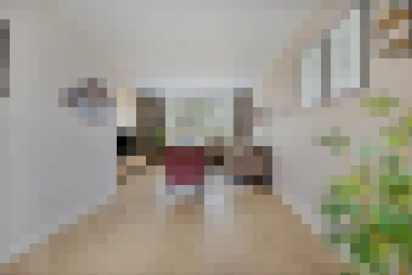 Broederhof 2 Veldhoven thumbnail 15
