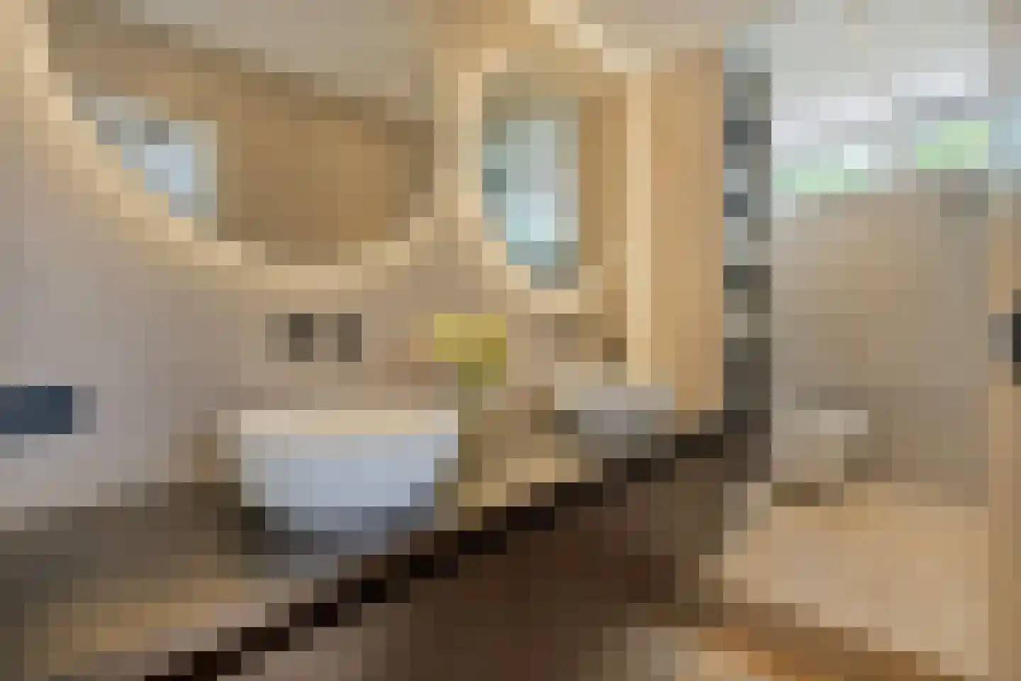 Broederhof 2 Veldhoven thumbnail 26