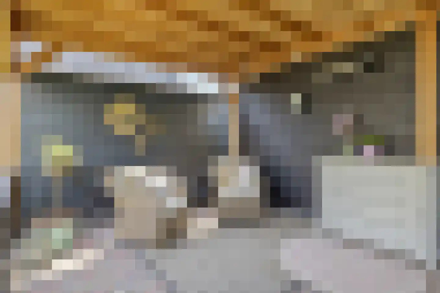 Broederhof 2 Veldhoven thumbnail 36