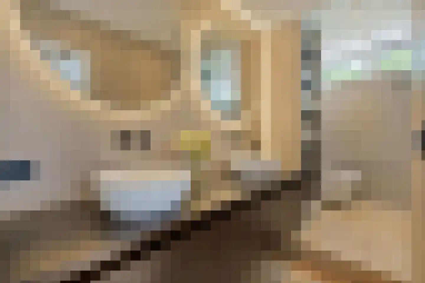 Broederhof 2 Veldhoven thumbnail 4