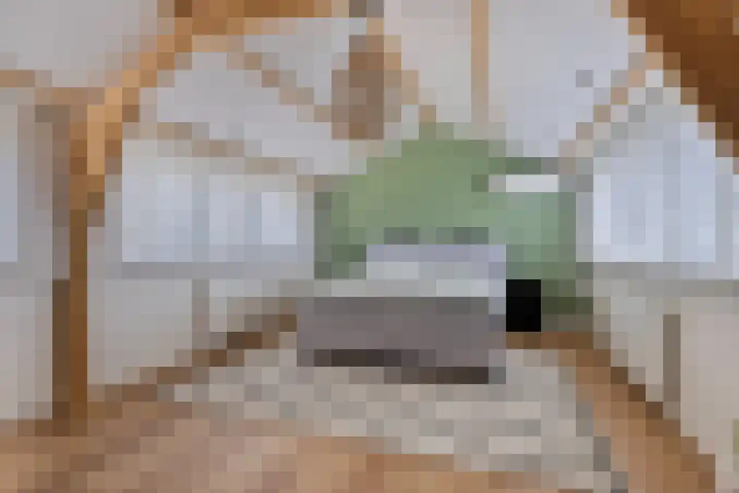 Broederhof 2 Veldhoven thumbnail 5