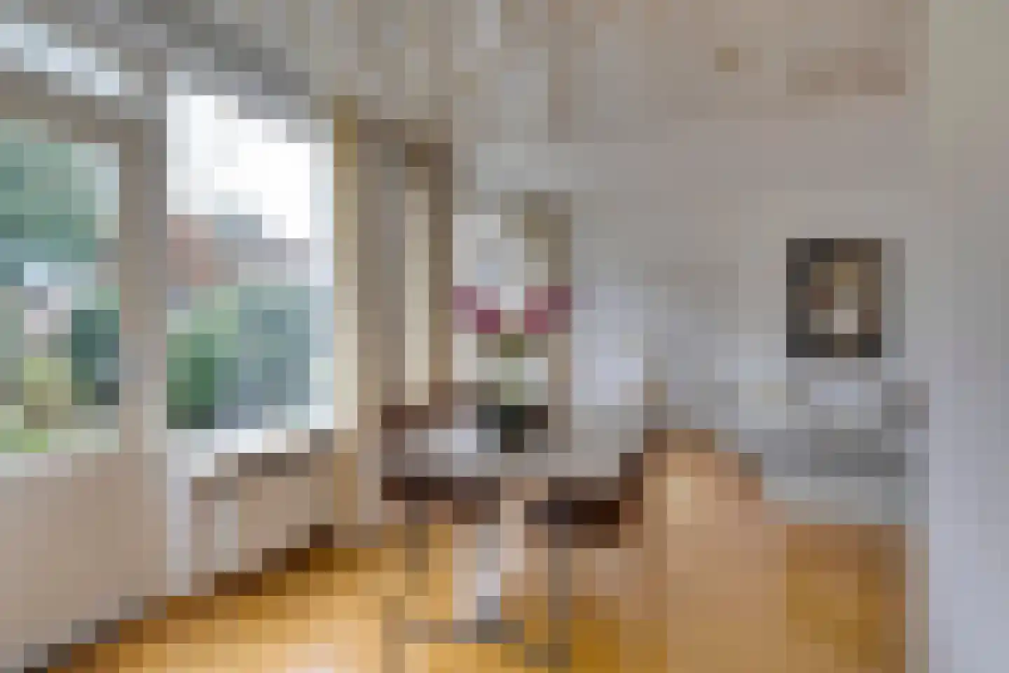 Broederhof 25 Veldhoven thumbnail 13