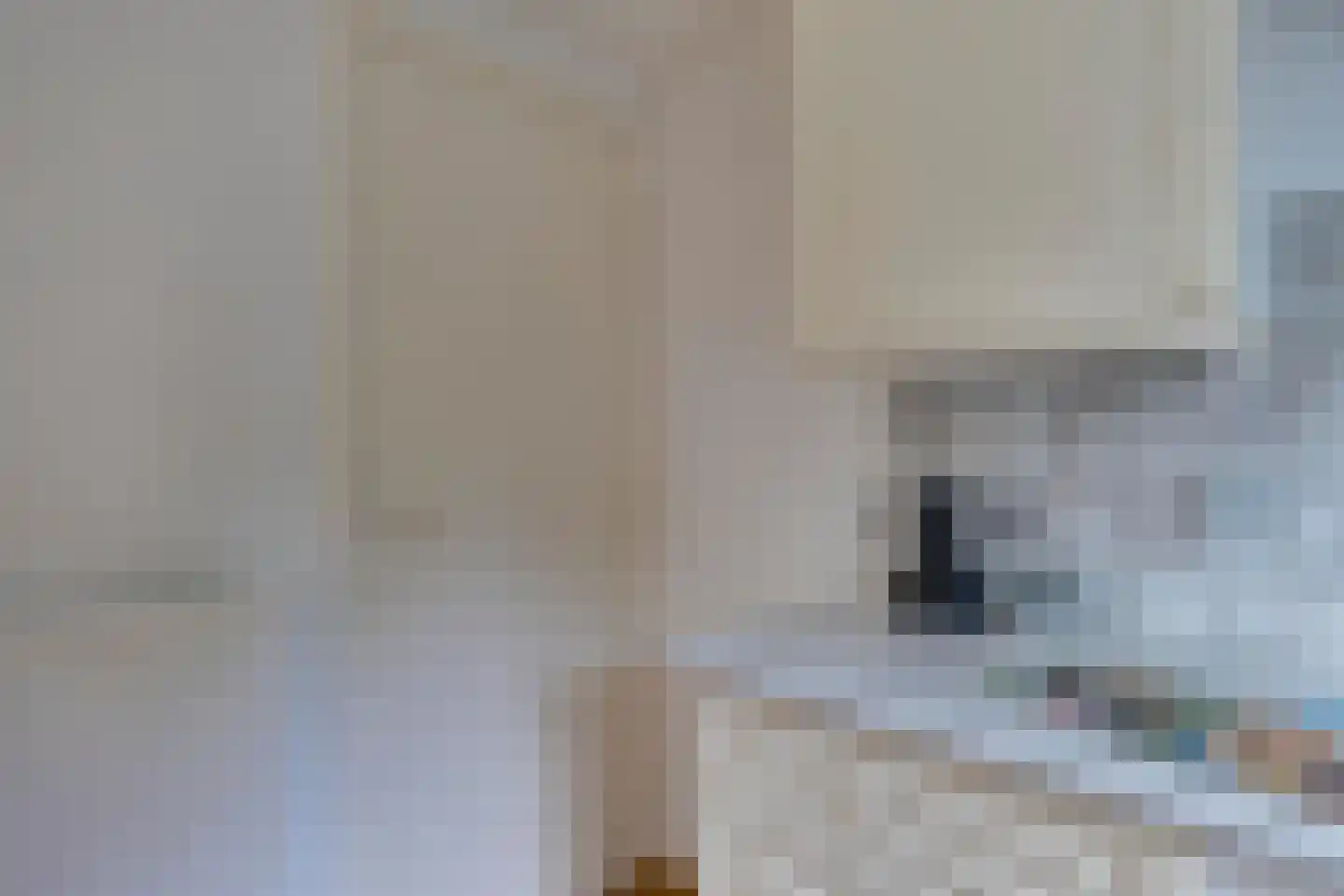 Broederhof 25 Veldhoven thumbnail 18