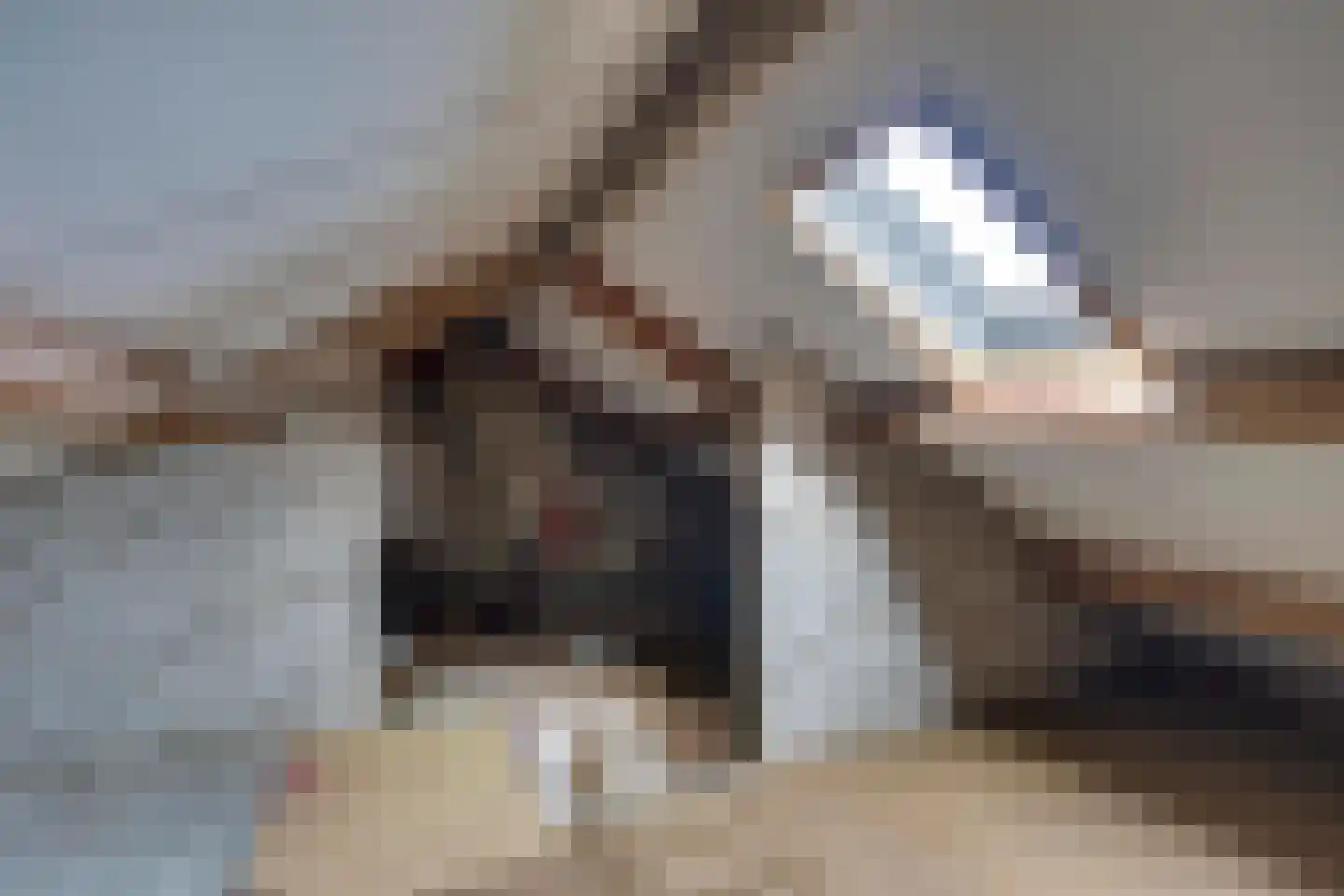 Broederhof 25 Veldhoven thumbnail 31