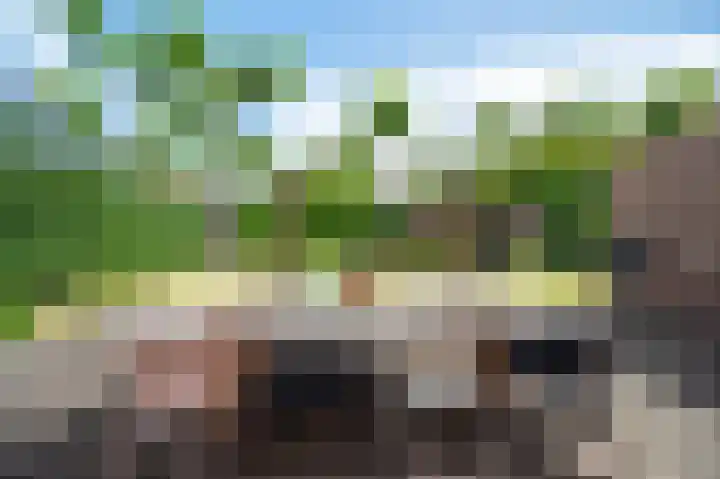 Broederijweg 4 Uddel thumbnail 31