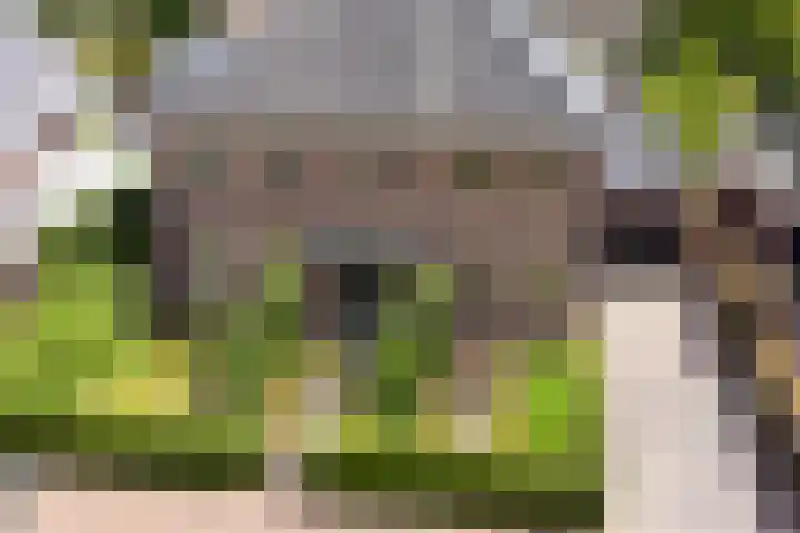 Broederijweg 4 Uddel thumbnail 32